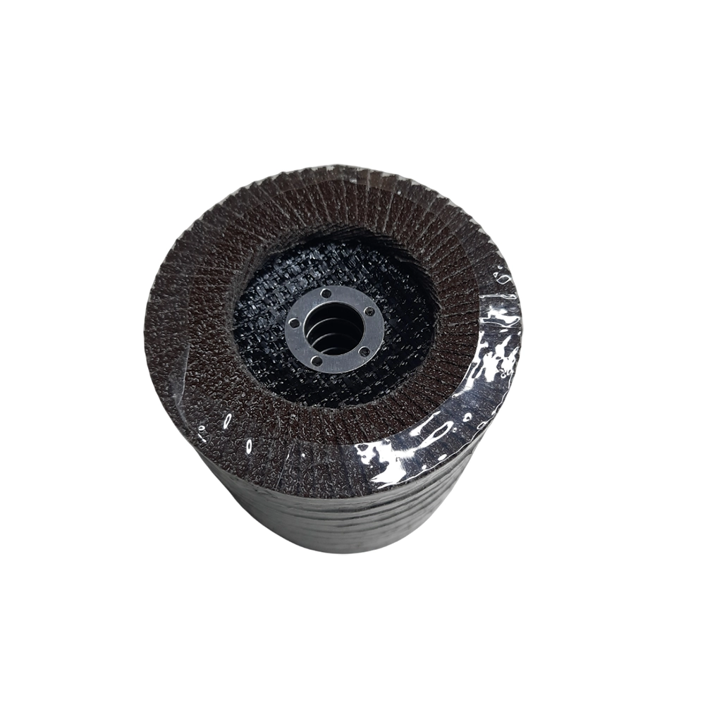 HDA40-100x16mm Hai Duong Flap Disc A40 100mm