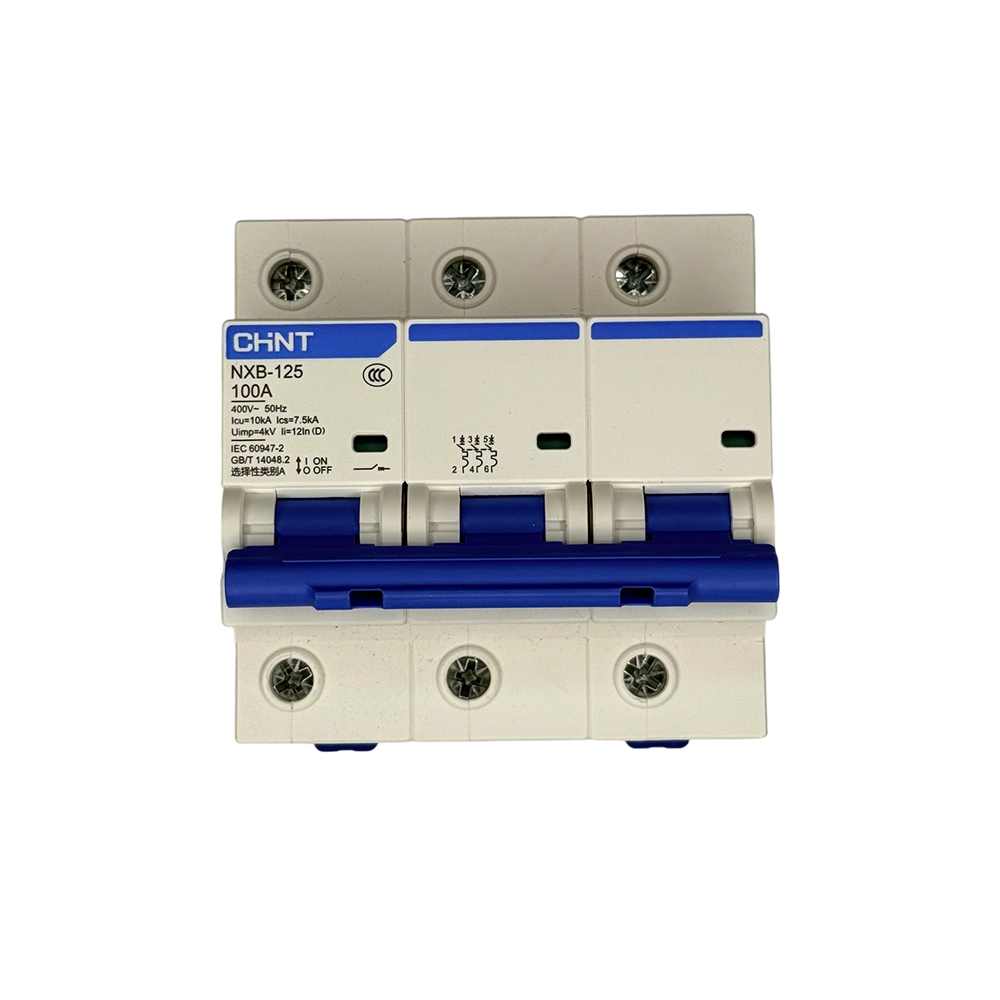 Chint NXB-125 3P C100 Automatic Circuit Breaker